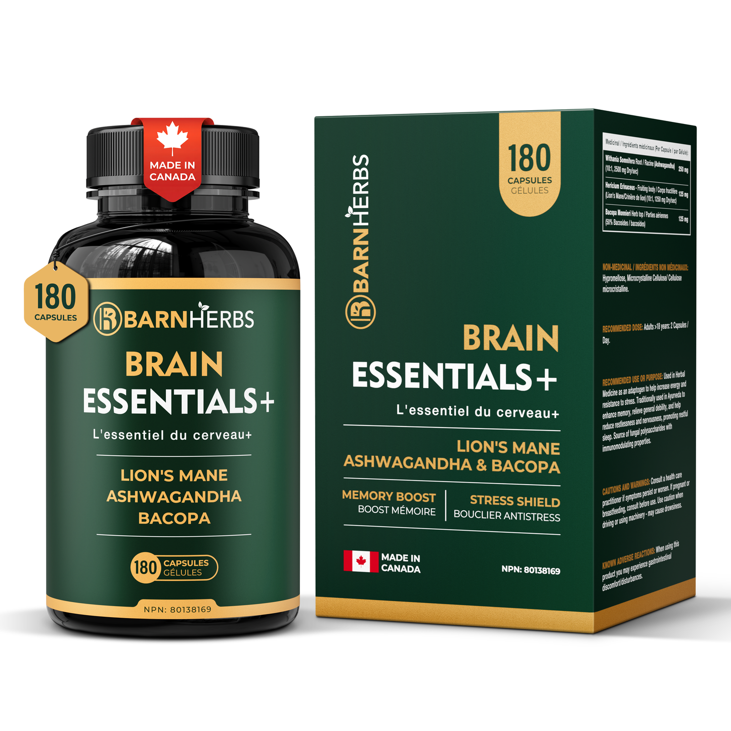 ALL-IN-ONE Brain Supplement | Lion’s Mane, Ashwagandha & Bacopa Monnieri | Natural Nootropic for Focus, Stress Relief & Memory Boost | 180 Capsules | Made in Canada