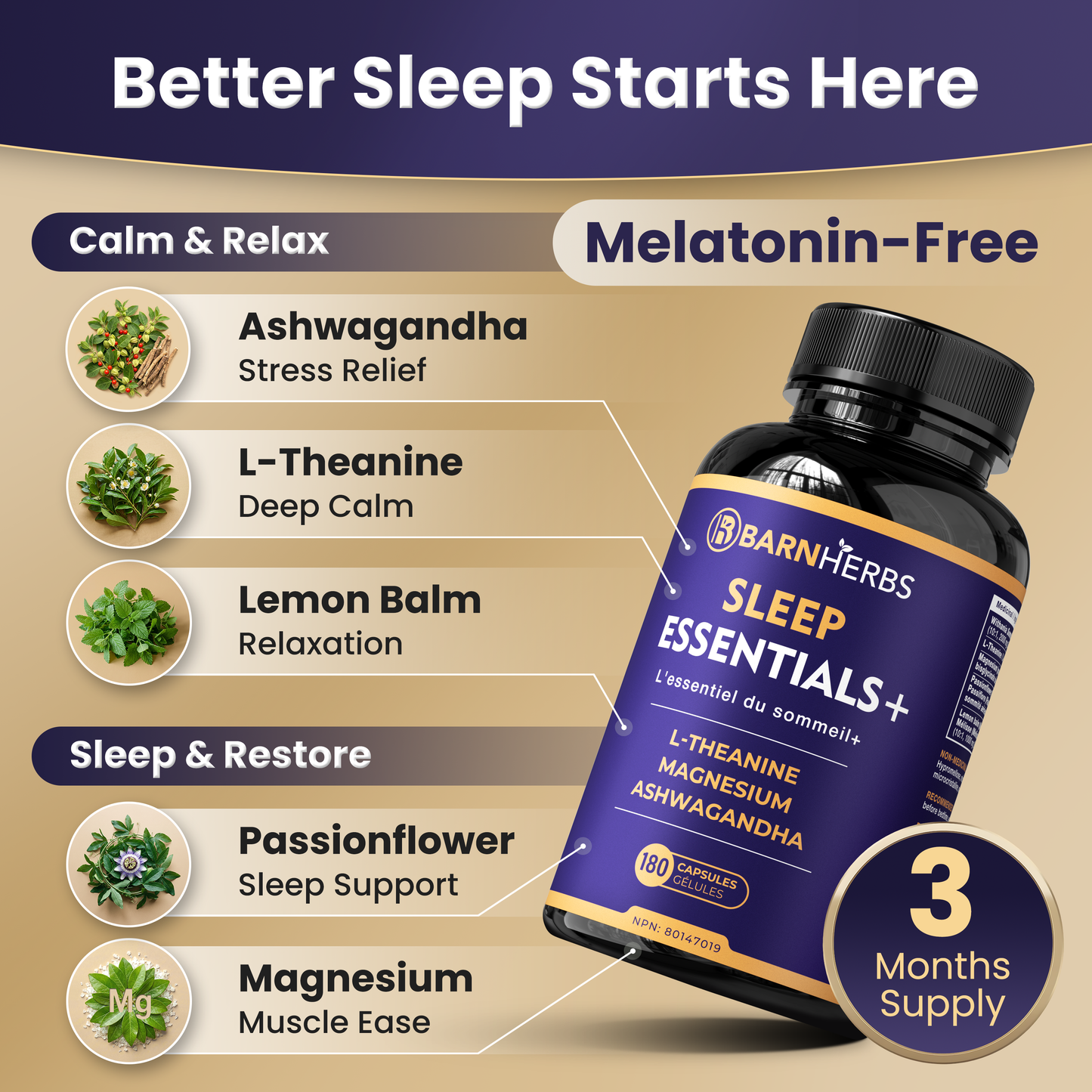 ALL-IN-ONE Natural Sleep Aid | Ashwagandha, Passionflower, Lemon Balm, Magnesium & L-Theanine | Melatonin-Free | BarnHerbs Sleep Essentials+ | 180 Capsules | Made in Canada