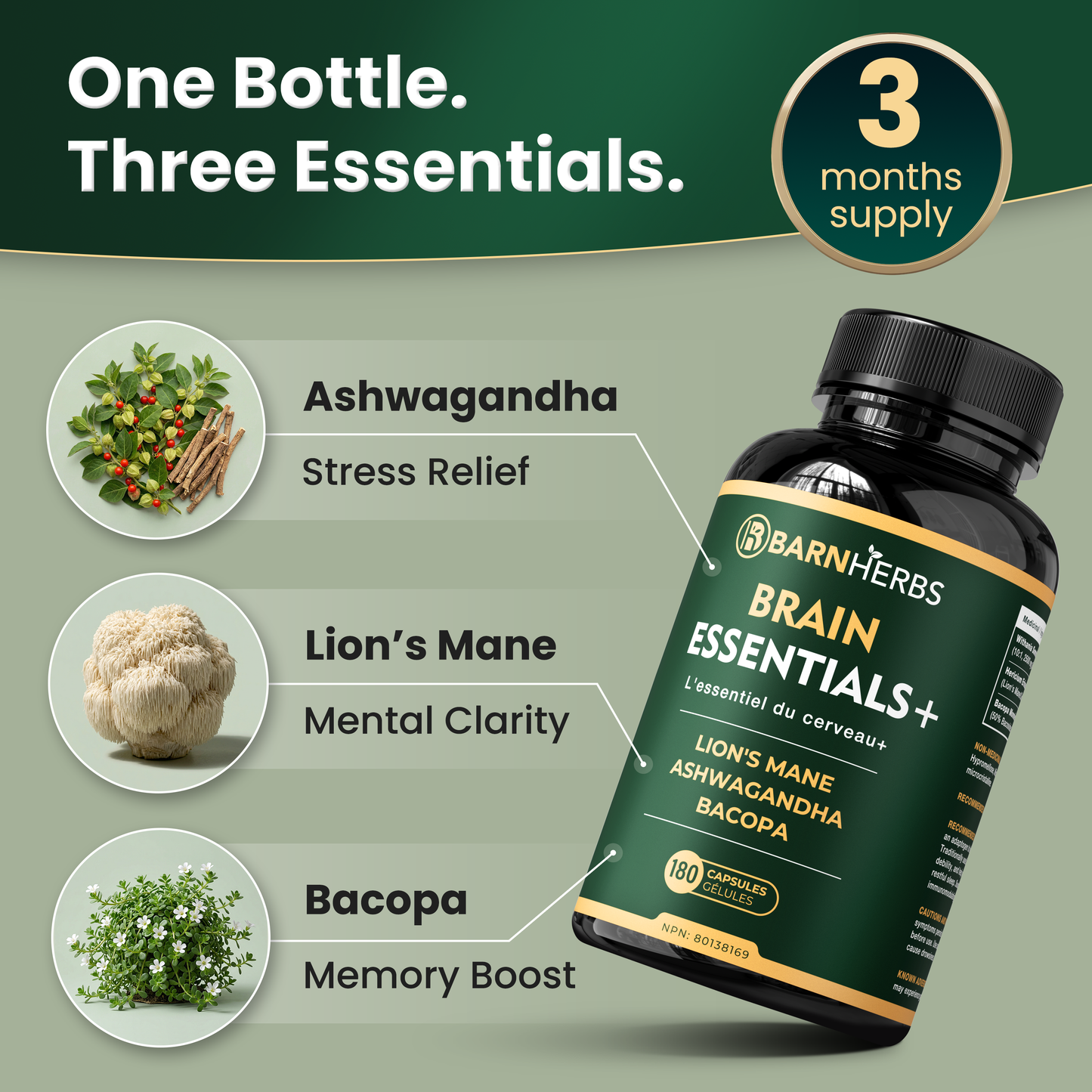 ALL-IN-ONE Brain Supplement | Lion’s Mane, Ashwagandha & Bacopa Monnieri | Natural Nootropic for Focus, Stress Relief & Memory Boost | 180 Capsules | Made in Canada