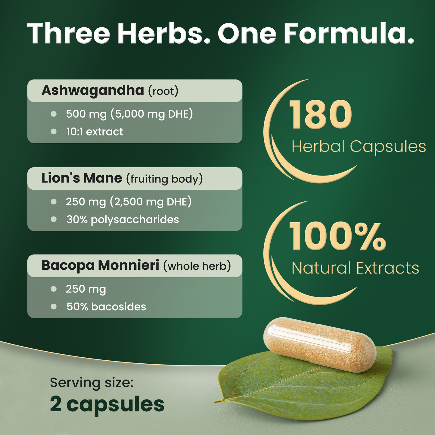 ALL-IN-ONE Brain Supplement | Lion’s Mane, Ashwagandha & Bacopa Monnieri | Natural Nootropic for Focus, Stress Relief & Memory Boost | 180 Capsules | Made in Canada