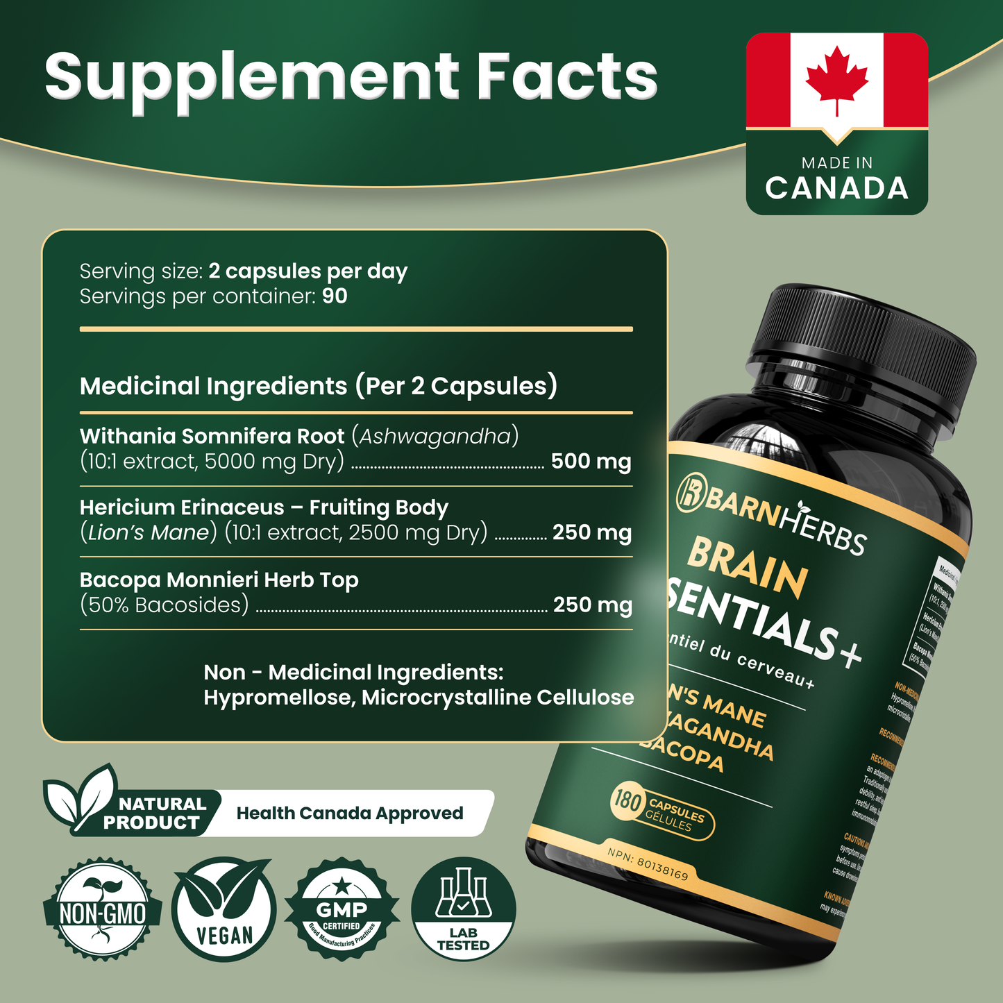 ALL-IN-ONE Brain Supplement | Lion’s Mane, Ashwagandha & Bacopa Monnieri | Natural Nootropic for Focus, Stress Relief & Memory Boost | 180 Capsules | Made in Canada