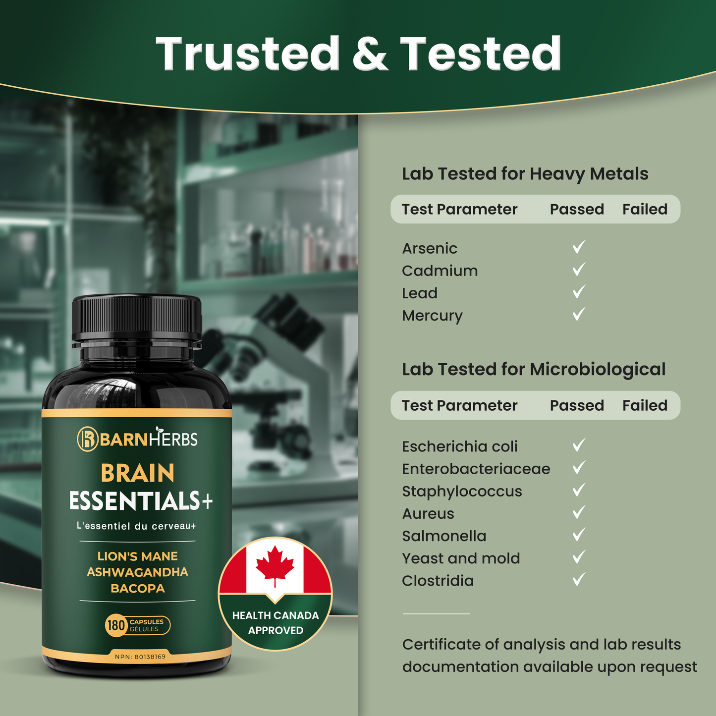 ALL-IN-ONE Brain Supplement | Lion’s Mane, Ashwagandha & Bacopa Monnieri | Natural Nootropic for Focus, Stress Relief & Memory Boost | 180 Capsules | Made in Canada