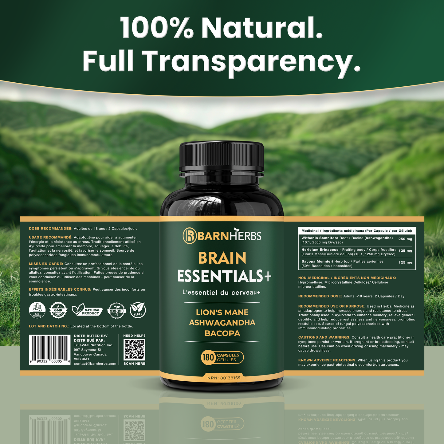 ALL-IN-ONE Brain Supplement | Lion’s Mane, Ashwagandha & Bacopa Monnieri | Natural Nootropic for Focus, Stress Relief & Memory Boost | 180 Capsules | Made in Canada