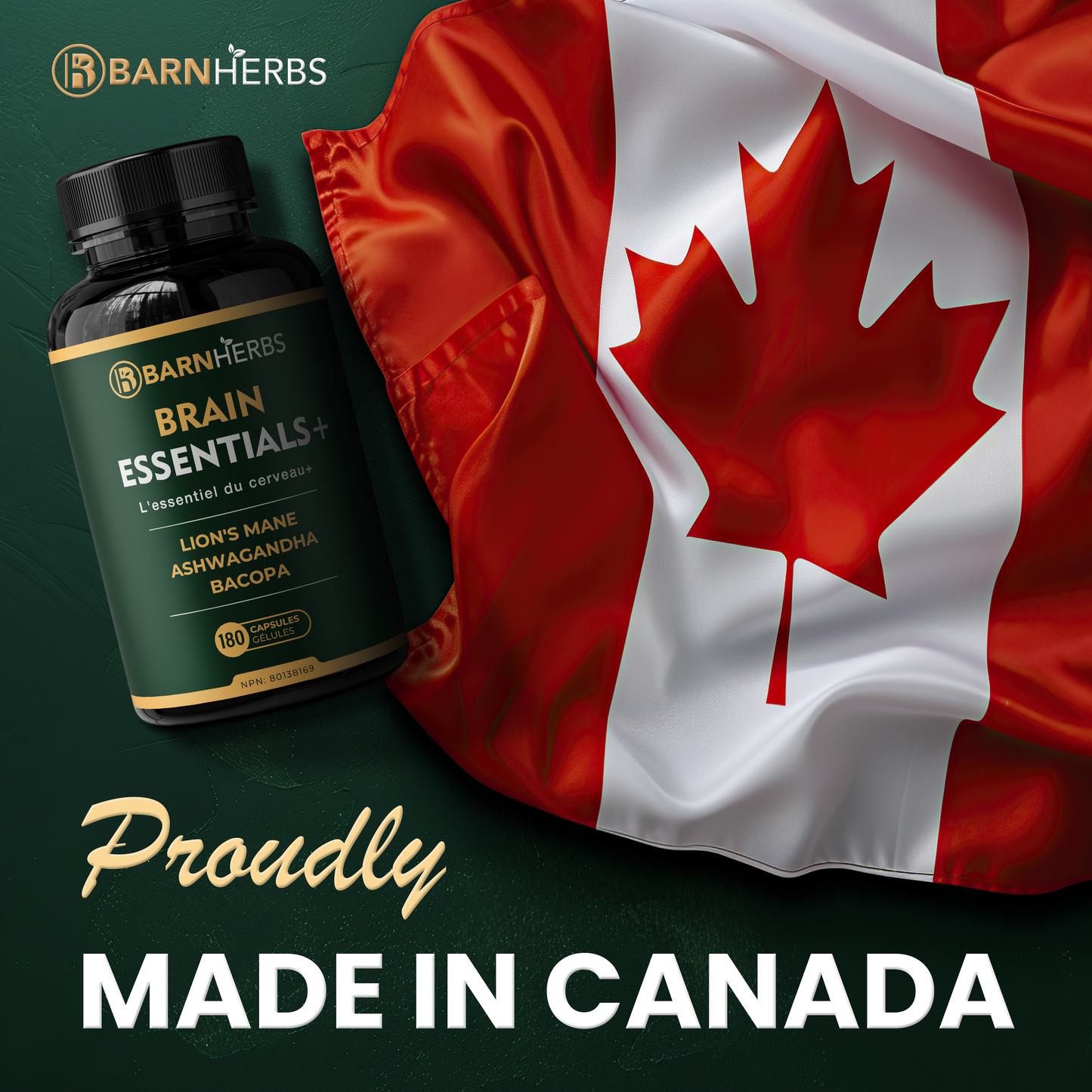 ALL-IN-ONE Brain Supplement | Lion’s Mane, Ashwagandha & Bacopa Monnieri | Natural Nootropic for Focus, Stress Relief & Memory Boost | 180 Capsules | Made in Canada